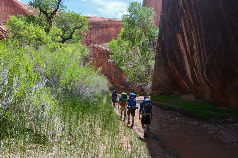 Small Group, Big Difference: Why Intimate Indigenous-Led Tours Are Winning Over Southwest Travelers